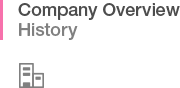 Company Overview History