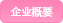 企业概要
