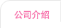 公司介绍