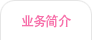 业务简介