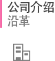 公司介绍 沿革