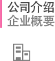 公司介绍 企业概要